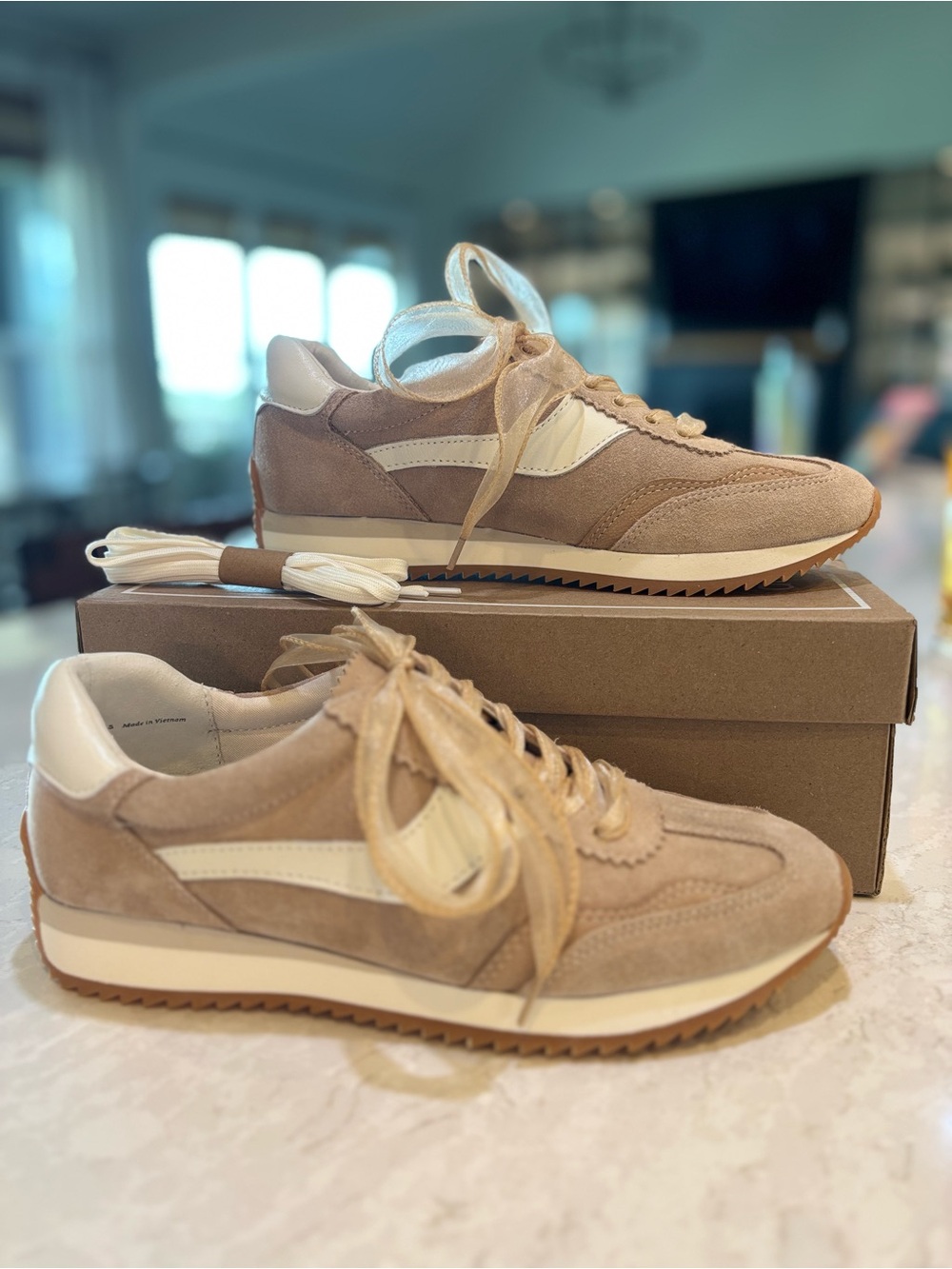 Dolce Vita B.NTCD Suede Sneaker in Dark Sand Suede - Picture 6 of 9